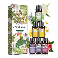 Set de 6 aceites esenciales · 10 ml